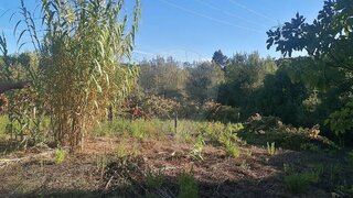 Land for sale in Loures, Portugal — €55,000