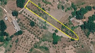 Land for sale in Nelas, Portugal — €12,000