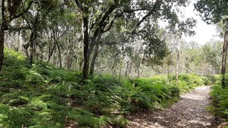 Land for sale in Mafra, Portugal — €31,500
