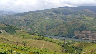 Terreno em Mesão Frio