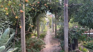 Land for sale in Entroncamento, Portugal — €450,000