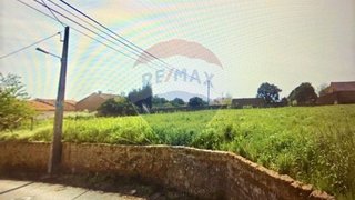 Land for sale in Anadia, Portugal — €25,000