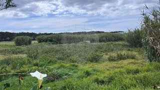 Land for sale in Sintra, Portugal — €20,000