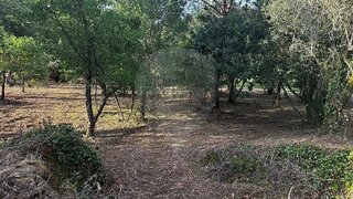 Land for sale in Ferreira do Zêzere, Portugal — €15,000