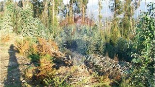Land for sale in Vila Verde, Portugal — €31,150