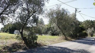 Land for sale in Montemor-o-Velho, Portugal — €42,000
