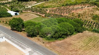 Land for sale in Óbidos, Portugal — €179,900