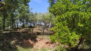 Land for sale in Ansião, Portugal — €45,000