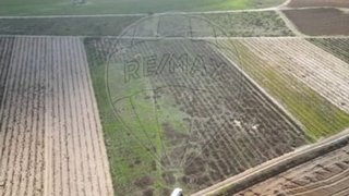 Terreno em Almeirim