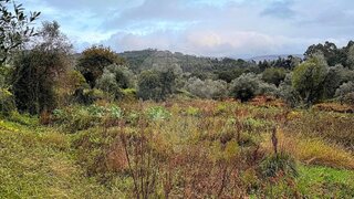 Terreno em Valença