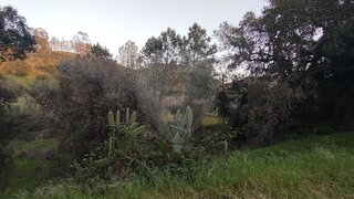 Land for sale in Abrantes, Portugal — €2,900