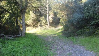 Land for sale in Sintra, Portugal — €1,150,000