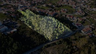 Land for sale in Marinha Grande, Portugal — €180,000