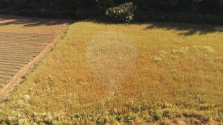 Terreno em Mafra