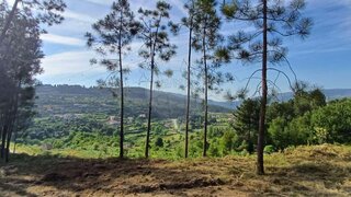 Land for sale in Cinfães, Portugal — €38,500