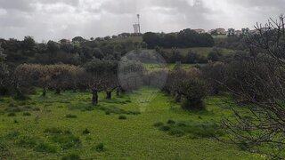 Land for sale in Torres Novas, Portugal — €82,000