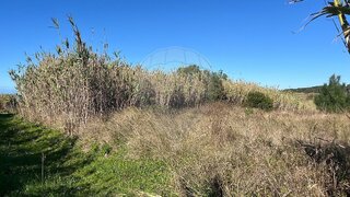 Land for sale in Sintra, Portugal — €30,000