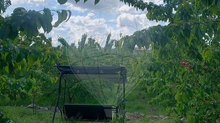 Terreno em Armamar
