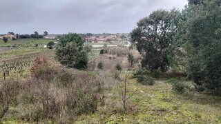 Land for sale in Cartaxo, Portugal — €65,000