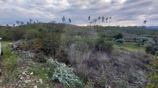 Land for sale in Sertã, Portugal — €4,000