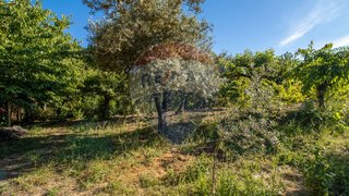 Land for sale in Fundão, Portugal — €30,000