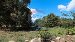 Land for sale in Tondela, Portugal — €25,000