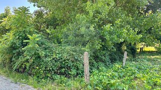 Land for sale in Gondomar, Portugal — €35,000
