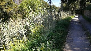 Land for sale in Sintra, Portugal — €160,000