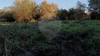 Land for sale in Pombal, Portugal — €3,000