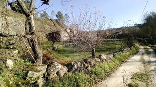 Terreno · 1370 m² · 2500 €