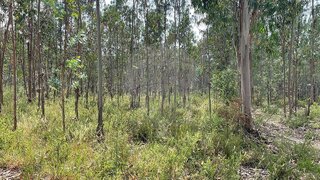 Terreno em Leiria