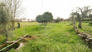 Land for sale in Castelo Branco, Portugal — €7,500