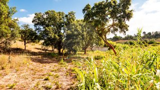 Land for sale in Azambuja, Portugal — €50,000