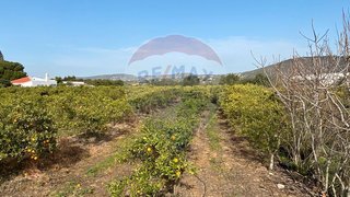 Terreno de 17 040 m² em Faro