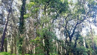 Land for sale in Pombal, Portugal — €5,000