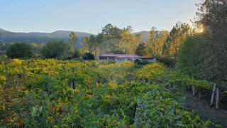 Land for sale in Valença, Portugal — €4,500