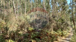 Land for sale in Penafiel, Portugal — €8,500