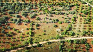 Land for sale in Silves, Portugal — €35,000