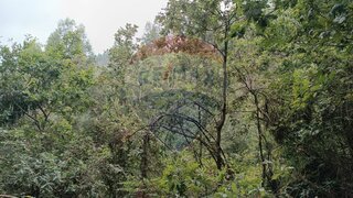 Terreno em Amarante