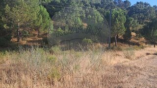 Land for sale in Silves, Portugal — €20,000