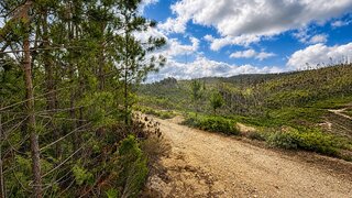 Land for sale in Ourém, Portugal — €24,900
