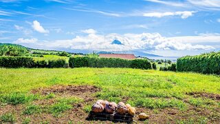 Terreno para venda em Horta, Portugal — 75 000 €