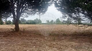 Terreno · 10 800 m² · 110 000 €