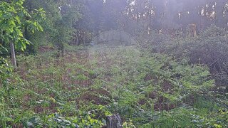 Land for sale in Águeda, Portugal — €13,000