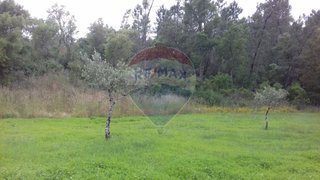 Land for sale in Sertã, Portugal — €19,000