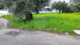 Terreno em Coimbra · 910 m² · 26 000 €