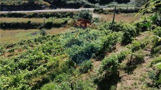 Land for sale in Ponte da Barca, Portugal — €58,000