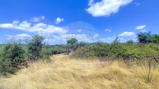 Land for sale in Castelo Branco, Portugal — €7,500