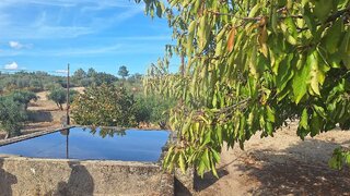 Land for sale in Celorico da Beira, Portugal — €72,500
