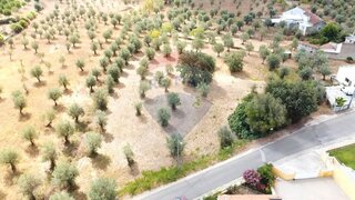Land for sale in Ferreira do Zêzere, Portugal — €39,000